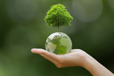 imagePROGRAF PRO-6600